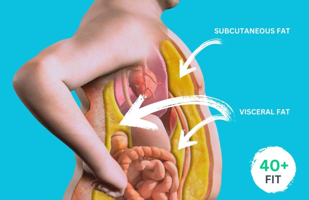 what is visceral fat