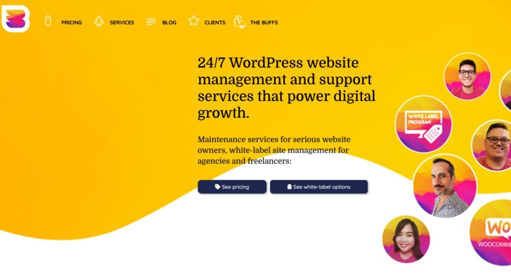 WP Buffs WordPress Maintenance