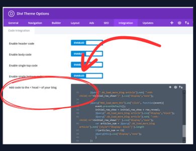 Add the code to the Head section of Theme Options