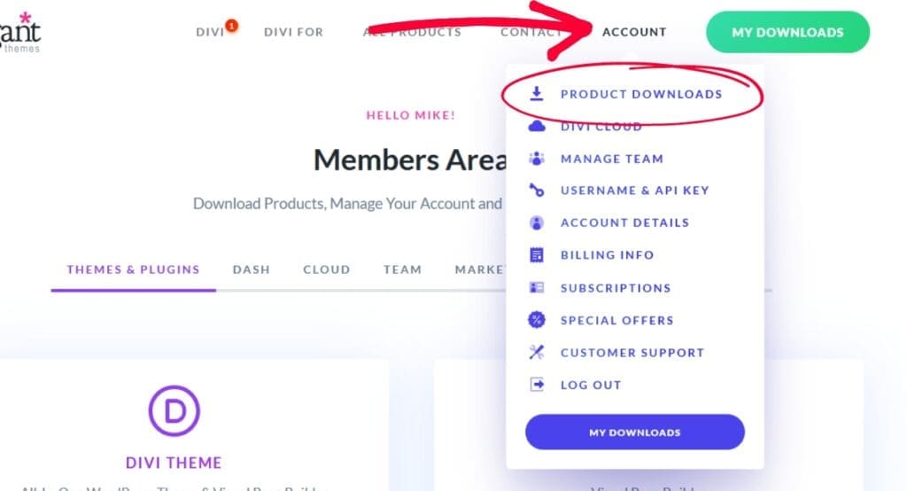 How to download the divi theme