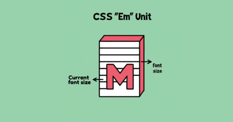 The Essential Divi Guide to CSS Sizing Units | DiviDuck