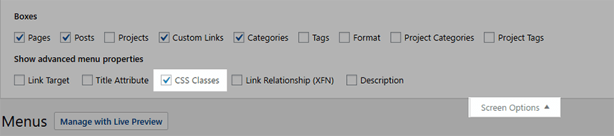 Enable CSS Classes in the menus