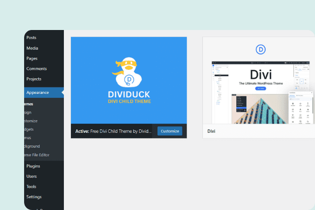 Download the Blank Dividuck Child Theme for Free